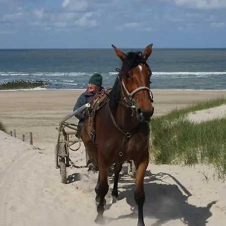Bed & Breakfast Aan Zee 3*