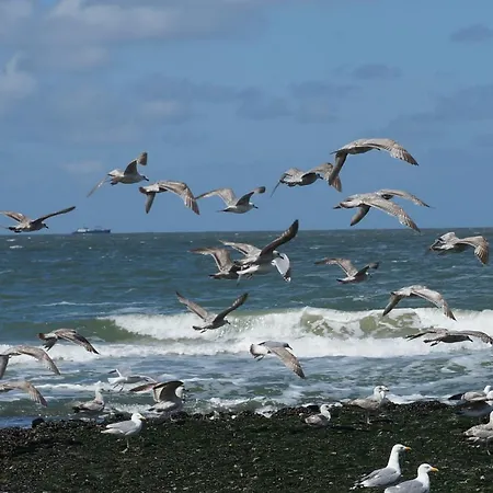 Aan Zee