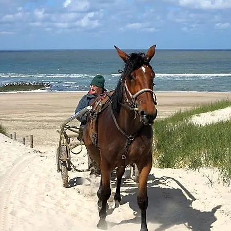 Panzió Aan Zee