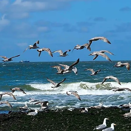 Aan Zee