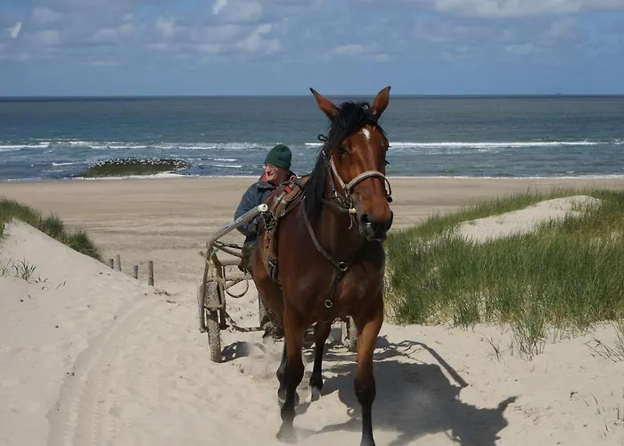 فندق مبيت وإفطار Aan Zee 3*